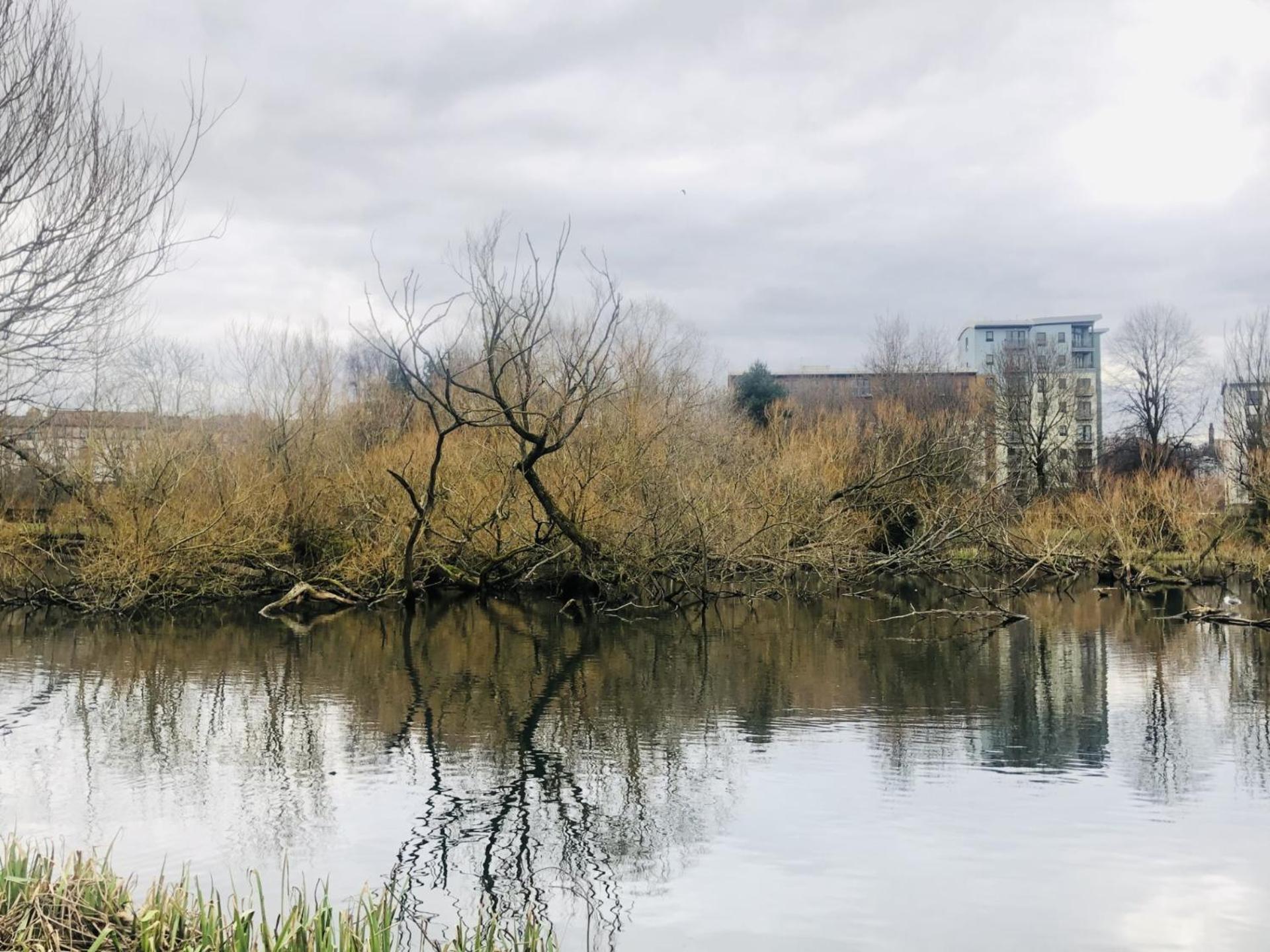 Modern Spacious Retreat Full Fibre Wi-Fi & Free Parking Edinburgh Eksteriør billede